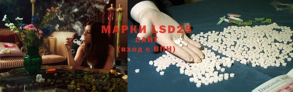 spice Алексин